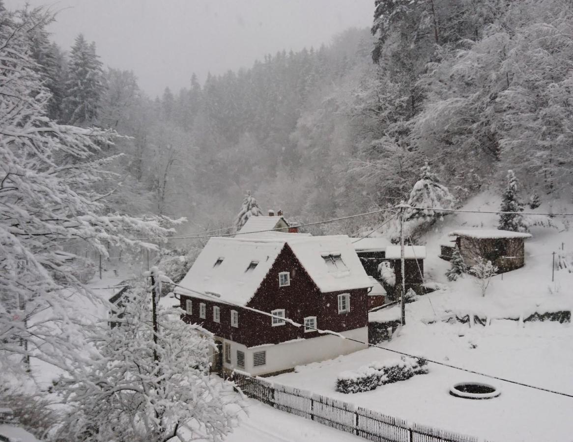 Ferienhaus Bildhauer Thiele Ottendorf  Dış mekan fotoğraf